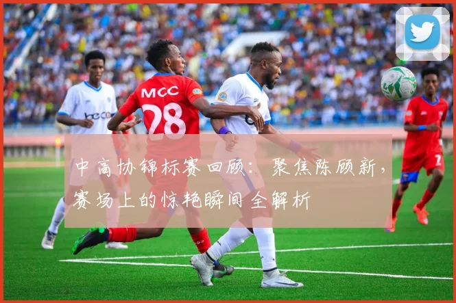 中高协锦标赛回顾：聚焦陈顾新，赛场上的惊艳瞬间全解析