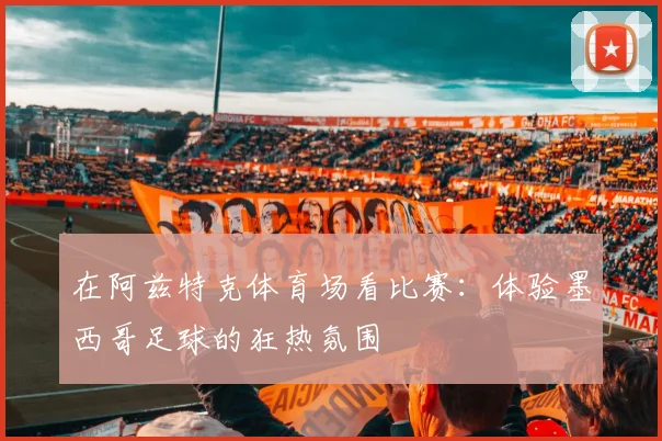 在阿兹特克体育场看比赛：体验墨西哥足球的狂热氛围